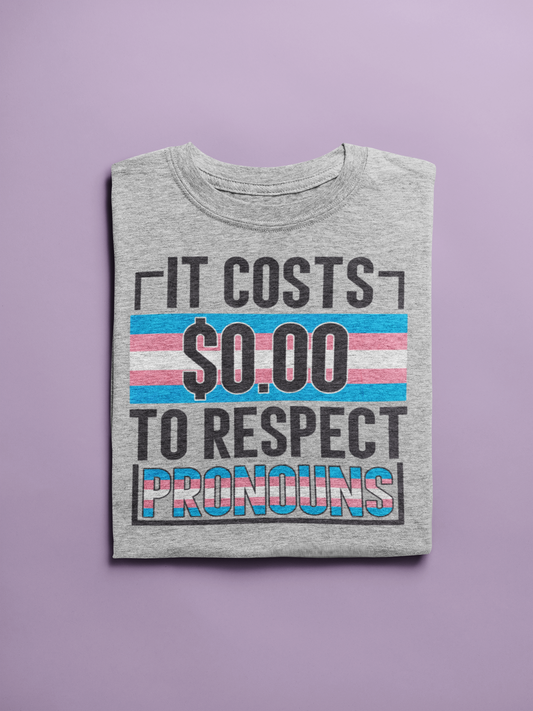 It Costs $0 to Respect Pronouns Graphic Tee